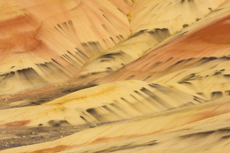 Detail Of The Painted Hills